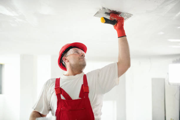 Best Drywall Texturing  in Stanhope, NJ