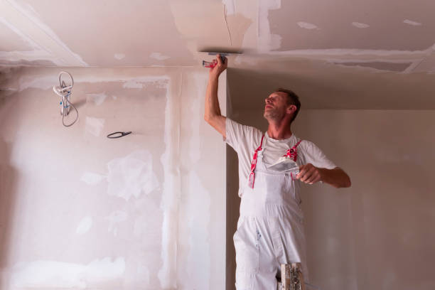 Best Ceiling Drywall Installation  in Stanhope, NJ